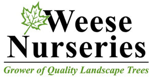 Tree nursery and tree farm in the Kingston, Napanee and Bath area